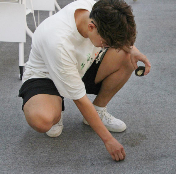 3.png 3.png