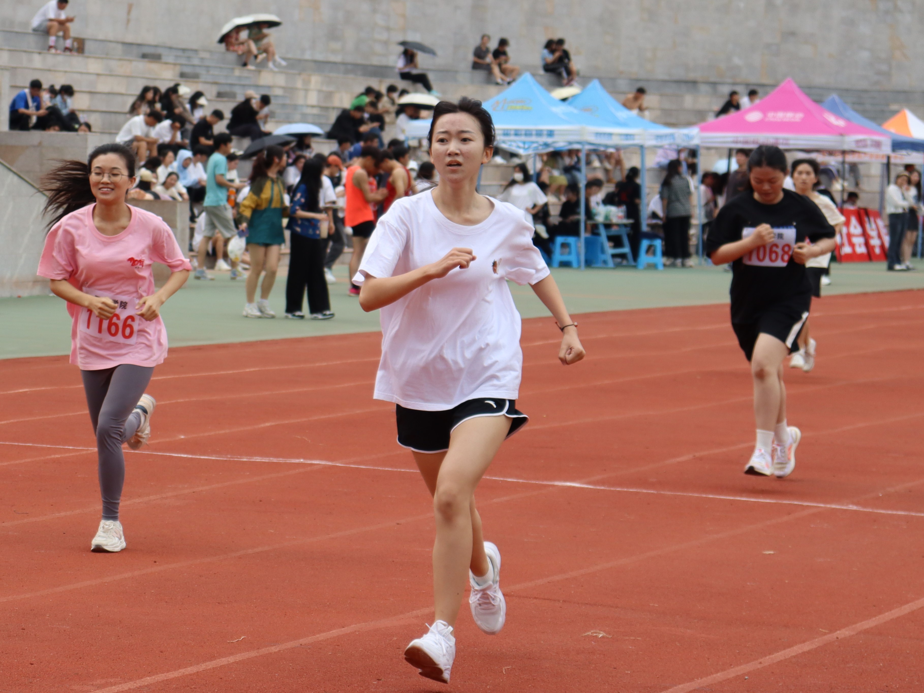 6438eac675c59.JPG