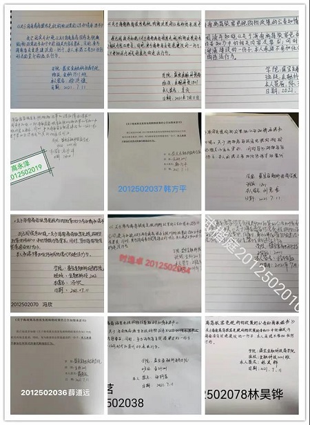 33.jpg 33.jpg
